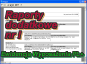 programy w biznesie - raporty dodatkowe